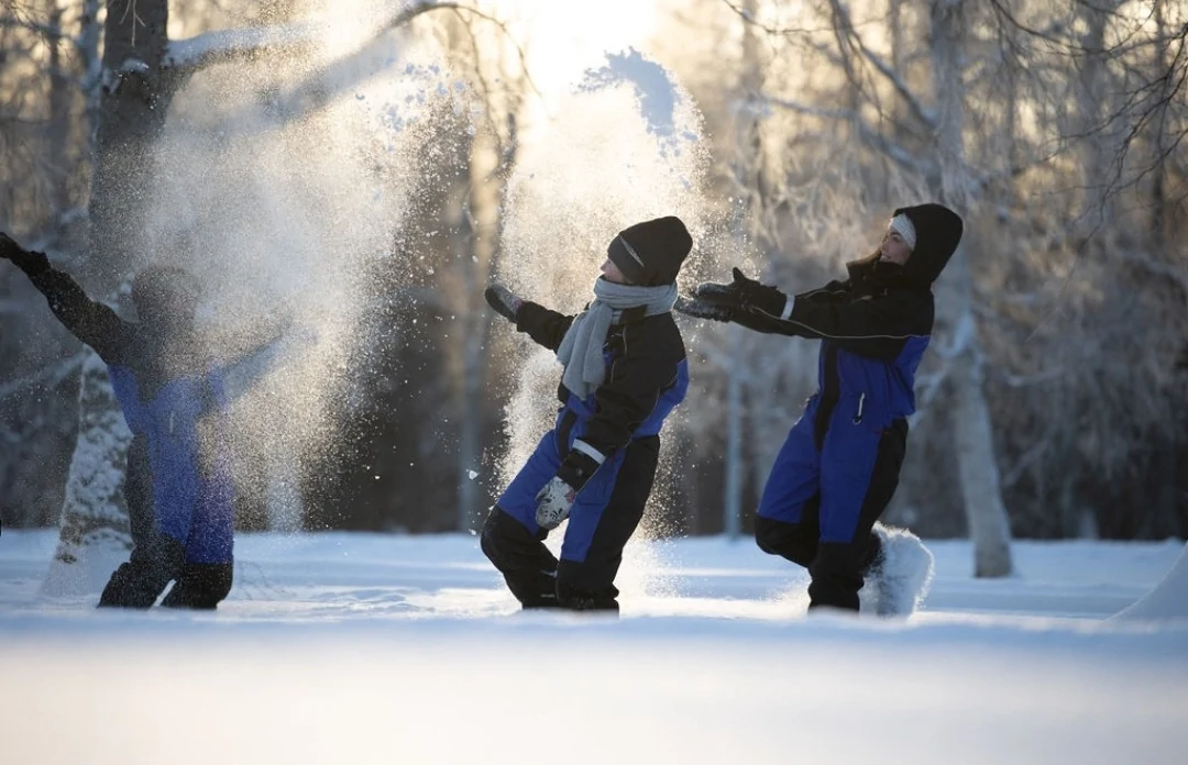 Oulu Safaris