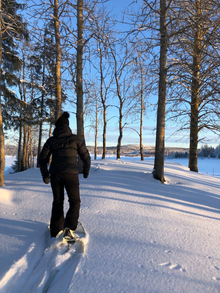 https://bothniancoastalroute.com/wp-content/uploads/2023/12/hulkoff_winterwalk-768x1024.jpeg